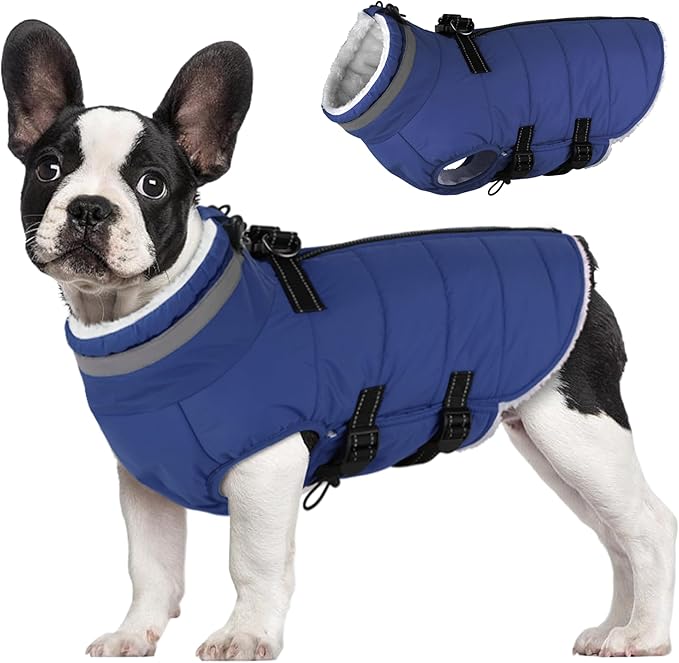 Small Dog Coat with Harness Built-in, Waterproof Reflective Fleece Lined - Warm Windproof Winter Jacket with Back Zipper, Cold Weather Snow Dog Coats - Blue - S