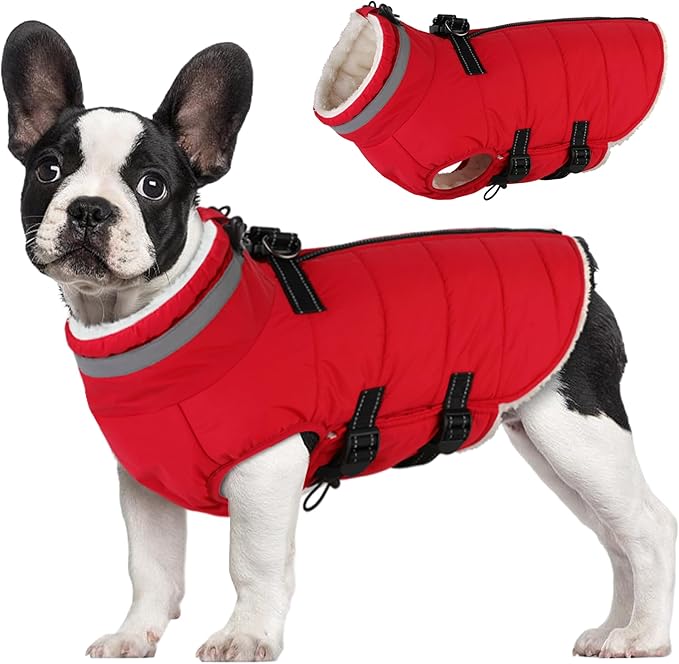Small Dog Coat with Harness Built-in, Waterproof Reflective Fleece Lined - Warm Windproof Winter Jacket with Back Zipper, Cold Weather Snow Dog Coats - Red - XS