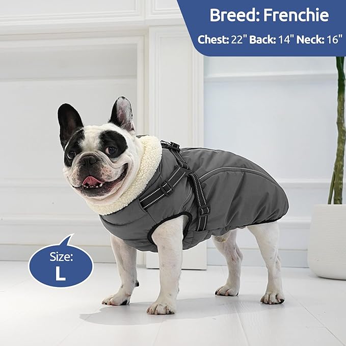Dog Winter Coat with Harness Built in Warm Puffer Dog Jackets for Small Medium Large Dogs Windproof Waterproof Outfit with Plush Lining and Reflective Stripes (Grey, XL)