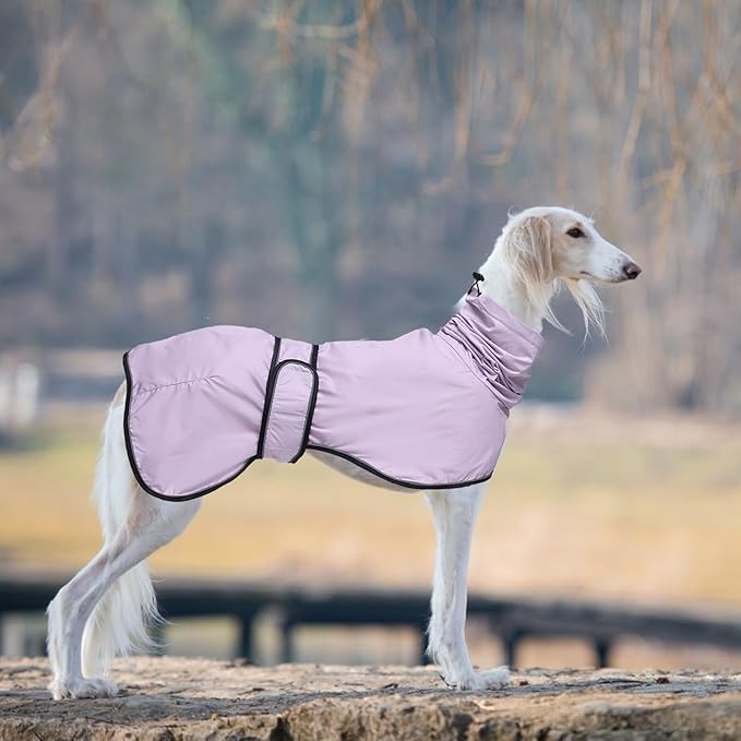 Dog Raincoat with Reflective Bar, Rain/Water Resistant, Adjustable Vest - Dog Raincoats for Greyhounds, Lurchers and Whippets - Purple - XXXL