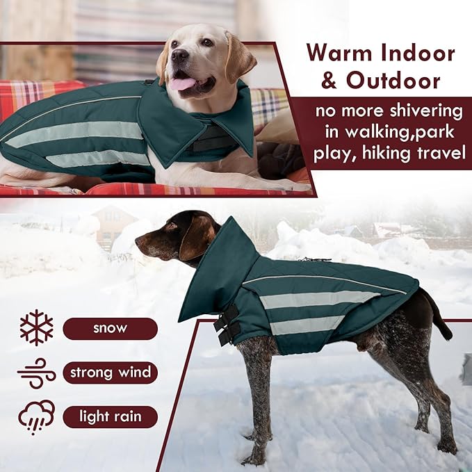Dog Coats for Medium Dogs Waterproof Warm Winter Jacket with Leash Hole Reflective Turtleneck Fleece Snowsuit Hook & Loop Snow Jackets for Dogs, Green M