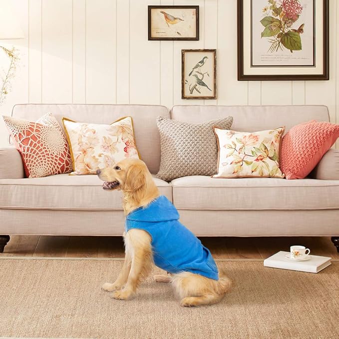 EXPAWLORER Dog Hoodie Fleece Sweater Vest, Hooded Dog Sweatshirt Fall Winter Pet Clothes with Leash Ring, Sleeveless Warm Cozy Puppy Clothing for Cat Small Medium Large Dogs Girl Boy, Blue S