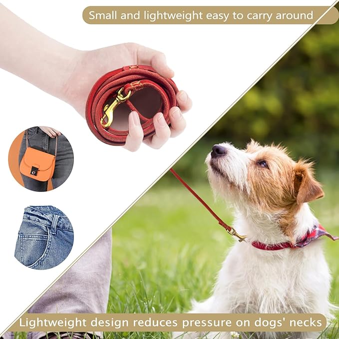 Guiding Star Leather Dog Leash 6 ft x 1/4 inch,Thin and Lightweight Leather Leashes for Small Dogs,Leather Cat Leashes for Small Cats,Soft Genuine Leather Dog Training Leashes for Petite Dogs Red