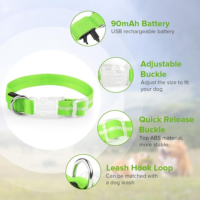 Light Up Dog Collar, Adjustable USB Rechargeable Glow in Dark Dog Collar ，Waterproof Dog Collars for Small Dogs (Green, Small)