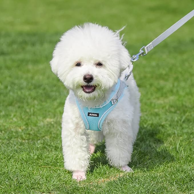 AIITLE Comfortable Dog Harness and Leash Set for Walking - Summer Step in Vest Harness,Reflective Bands, Adjustable No Pull Puppy Essentials, for Small Dogs and House Cats Blue XS