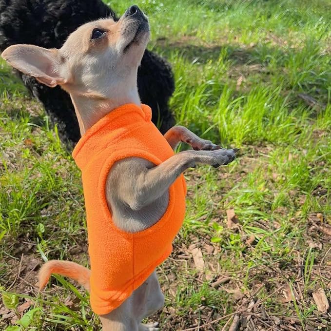 JACKO & CO - Fleece Vest Dog Sweater with Leash Ring - Soft, Warm & Lightweight Pullover Coat for Small & Medium Dogs, Puppies & Cats - Cozy Fall/Winter/Spring Pet Jacket (Pumpkin, Small 2-4lbs)