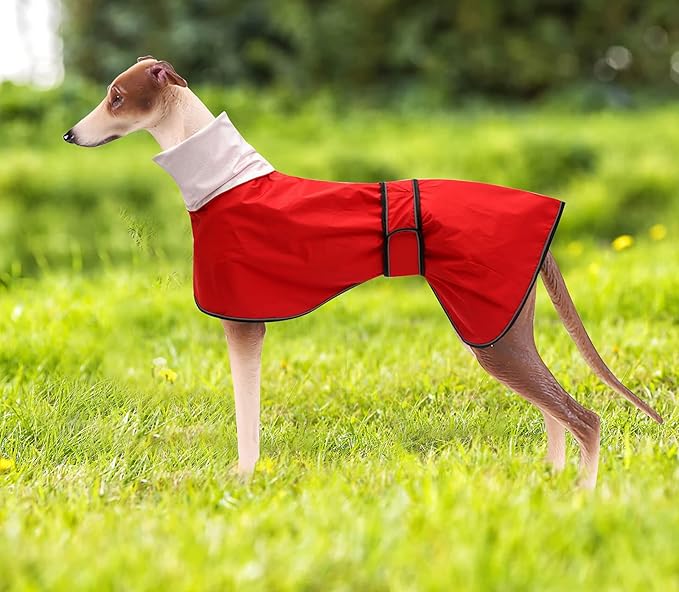 Dog Raincoat with Reflective Bar, Rain/Water Resistant, Adjustable Vest - Dog Raincoats for Greyhounds, Lurchers and Whippets - Red - XL