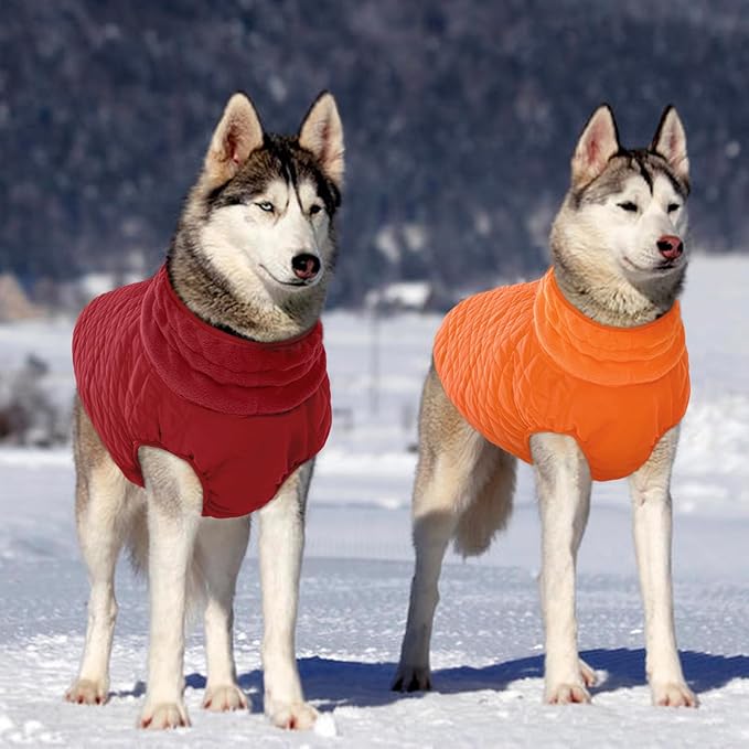 Kuoser Medium Dog Coat | All-Breed Thermal Wear with Windproof Layer | Reflective Tabs Enhance Visibility in Snow, Snap Buckles Simplify Dressing, Red M