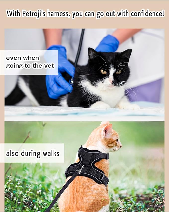 Cat Harness Escape Proof with Leash for Walking, Travel Vest Soft Chest Support, Adjustable Size, Escape Proof Soft Adjustable Vest Harnesses, Breathable, Kittens, Small Dogs (美/背縄/藍1/XS)