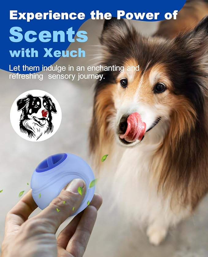 LED Dog Ball Rechargeable, Light Up Fetch Ball, Bounce-Activated, Durable, Natural Rubber, Unique Scent, 2.5 inches, for Small & Medium Dogs (Light Blue)