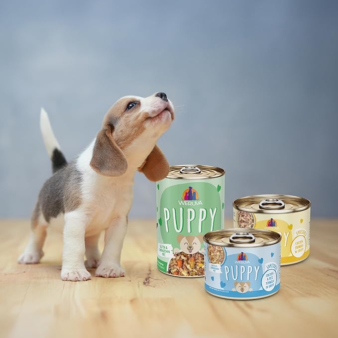 Weruva Puppy, Chicken and Rice Formula in Gravy, 14oz Can, Pack of 10