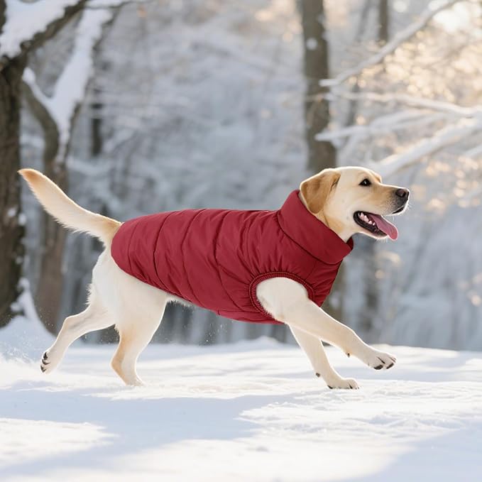 ASENKU Dog Winter Coat - Waterproof Windproof Dog Jacket, Warm Snowproof Doggie Puffer Vest for Cold Weather, Lightweight Snow Coats for Small Medium Large Dogs（XS, Red