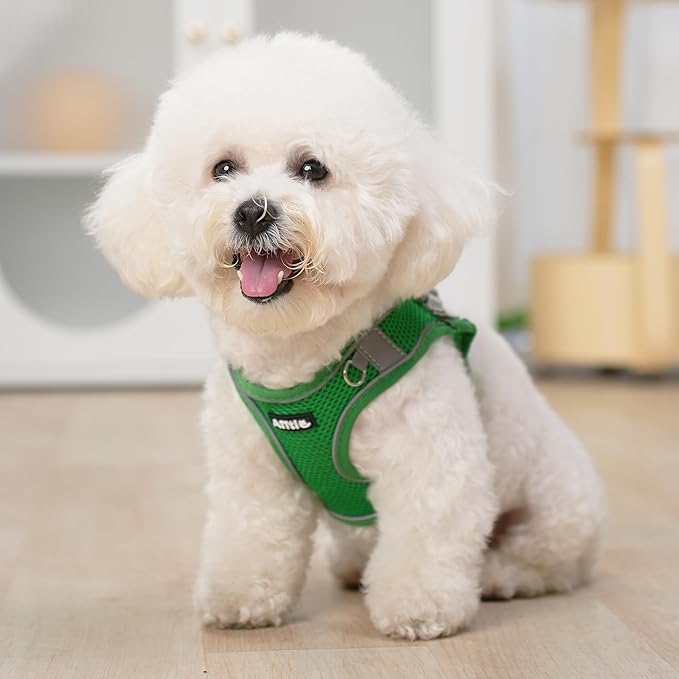 AIITLE Comfortable Dog Harness and Leash Set for Walking - Summer Step in Vest Harness,Reflective Bands, Adjustable No Pull Puppy Essentials, for Small Dogs and House Cats Green XS