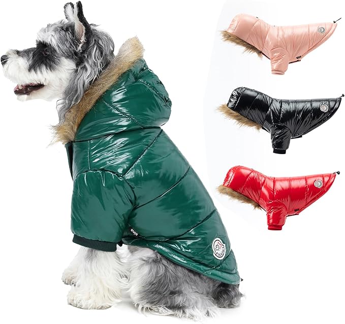 PINA Dog Winter Coat with Faux Fur Hood, Windproof and Warm, Suitable for Small to Large Dogs, Green, Large