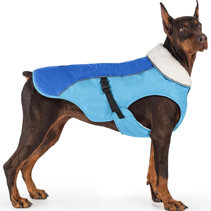 EMUST Dog Coat Winter, Warm Dog Snow Jacket for, Adjustable Small/Medium/Large Dogs Coat/s for Winter, New Blue, L