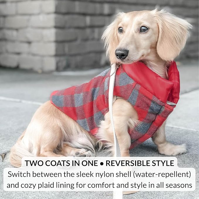DJANGO Reversible Puffer Dog Coat – Warm Winter Dog Jacket & Water-Repellent Insulated Dog Coat with Harness Hole, Windproof, Adjustable Fit for Small & Medium Dogs, Dachshunds – Lava Red, Large