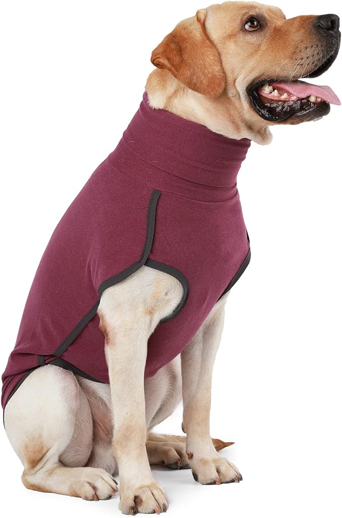 Dog Sweater Pullover Cold Weather Vest for Dogs Dog Sweatshirt & Jacket for Indoor and Outdoor Use (X-Small, Wine red)