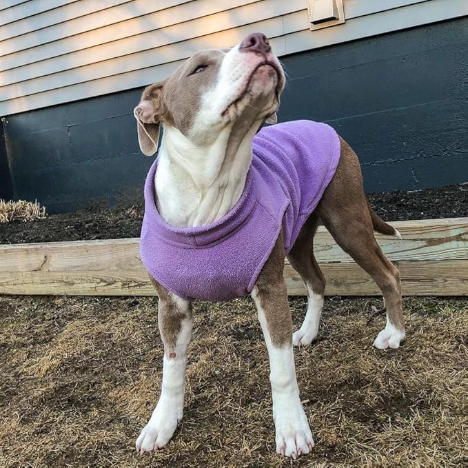 Gooby Stretch Fleece Vest Dog Sweater - Lavender, Small - Warm Pullover Super Stretchy Fleece Dog Jacket for Small to Large Dogs
