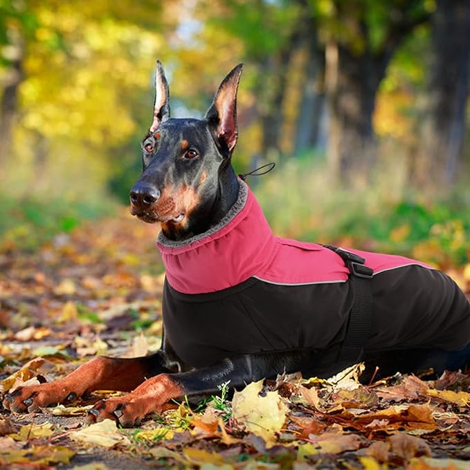 IDOMIK Dog Winter Coat, Reflective Waterproof Dog Jacket for Cold Weather, Warm Pet Coats for Small Medium Large Dogs, High Collar Doggy Fleece Snow Jacket, Winter Vest with Adjustable Buckle,L