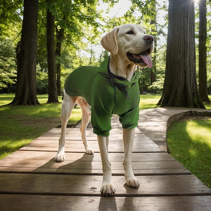 Basic Dog Hoodie, Premium Dog Sweater Pullover, Soft & Comfy Cotton Pet Clothes Hoodies with Hat and Leash Hole, Doggy Puppy Sweatshirt Coat for Small Medium Large Dogs - Army Green (Medium)