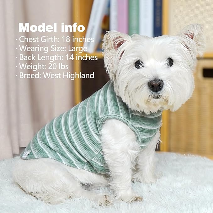 KYEESE 2Pack Waffle Dog Shirts for Small Dogs Stretchy Dog T-Shirts Lightweight Pet Tank Top Sleeveless Striped Pet Shirt Vest Breathable Cat Shirt, Small, Green+Striped
