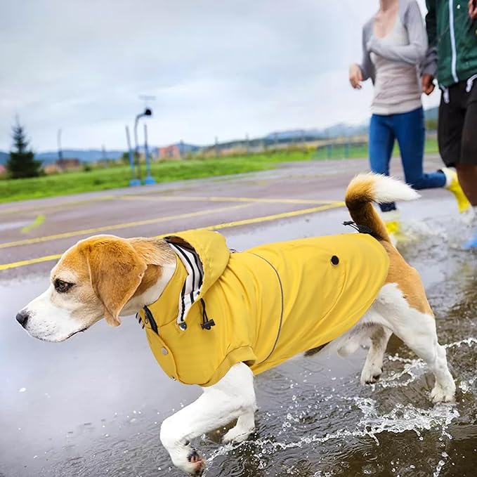 Dog Raincoat Waterproof Raincoats Dog rain Jacket Buttons Zipper Hood Drawstring Suitable for Small Medium Yorkie Terrier Schnauzer Poodle Border Collie Labrador 8lbs to 80lbs Yellow S