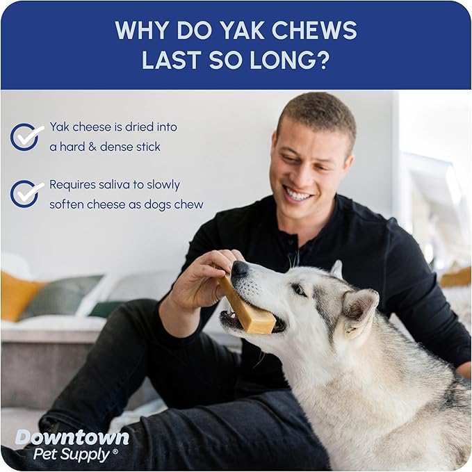 Downtown Pet Supply Yak Cheese Himalayan Dog Chews - Regular Yak Chews Rich in Nutrients for Small to Medium Dogs - Long Lasting, Odorless and Easy to Digest Cheese Dog Treats - 0.5 LB