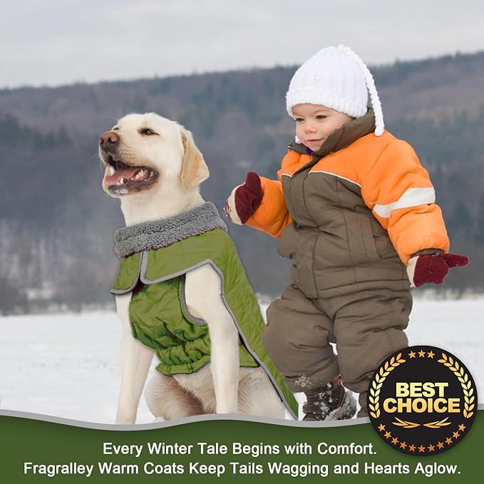 Fragralley Dog Winter Coat, Waterproof Windproof Reflective Fleece Jacket with Harness Hole, Warm Snow Vest for Small Medium Large Dogs, Ideal Gifts