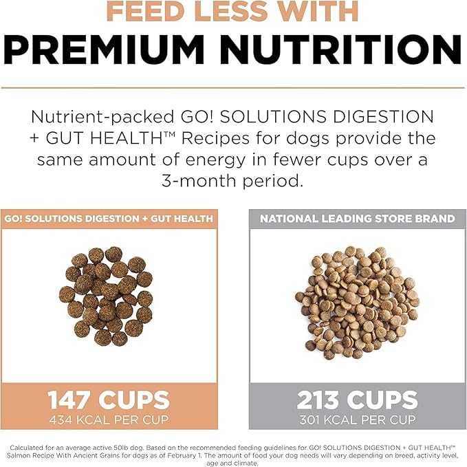 Go! Solutions Digestion + Gut Health, Dry Dog Food, Salmon Recipe with Ancient Grains, 22 lb Bag