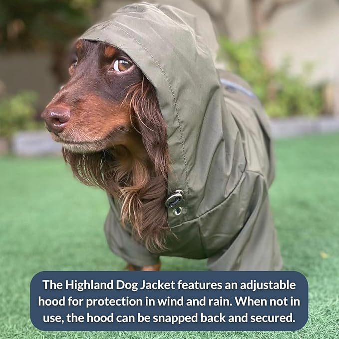 DJANGO Highland Dog Jacket & Raincoat – Water-Repellent, Lined Dog Coat with Hood, Adjustable Fit & Harness Hole – Lightweight Rain & Wind Jacket for Small & Medium Dogs up to 30 lbs (Yellow, Small)