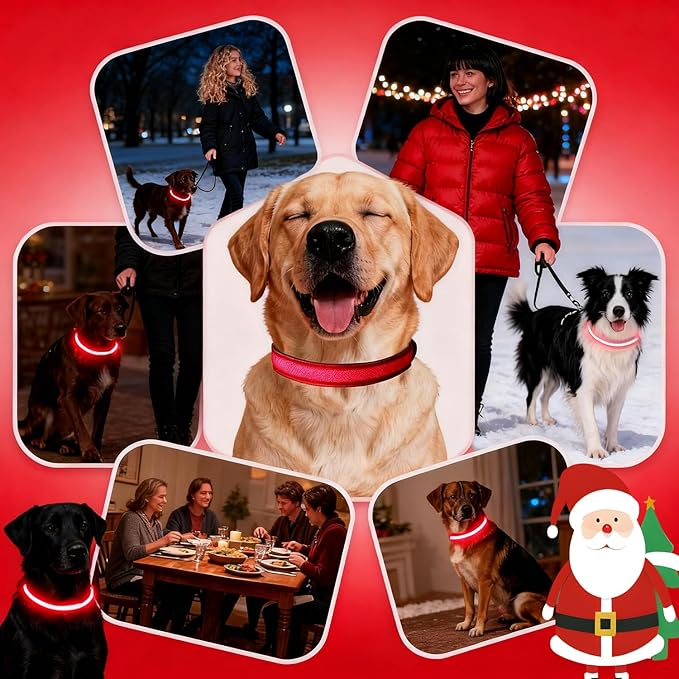 DOGWONG LED Dog Collar - Heavy Duty Light up Collars - Rechargeable Waterproof - Lighted Dog Collar for Night Walking, Hiking, Camping(Red,M)