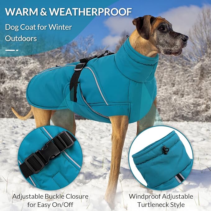 Queenmore Medium Dog Coat, Winter Dog Jacket, Waterproof Puffy Dog Snowsuit, Adjustable Reflective Fleece Lining Warm Padding Parka for Cold Weather, Blue M