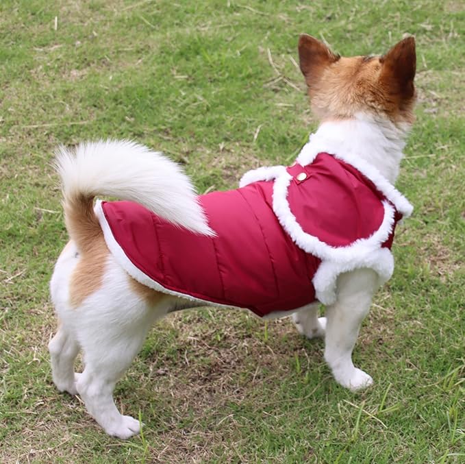 Shawl Design Fleece Lined Warm Dog Jacket for Puppy Winter Cold Weather,Soft Windproof Small Dog Coat,Red XS