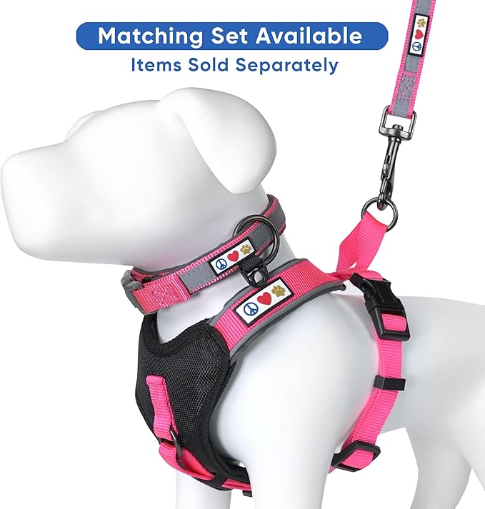 Pawtitas Personalized Dog Leash Embroidered Customize Your Pet Name & Phone Number Puppy Reflective 6 ft Long Small Pink Custom Tag Name, Pink Reflective 🔦 Padded