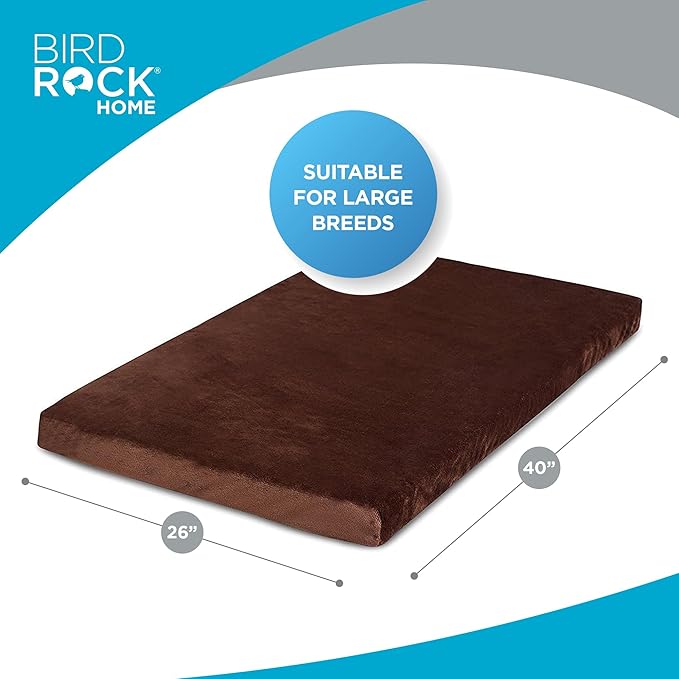 BIRDROCK HOME Large Brown