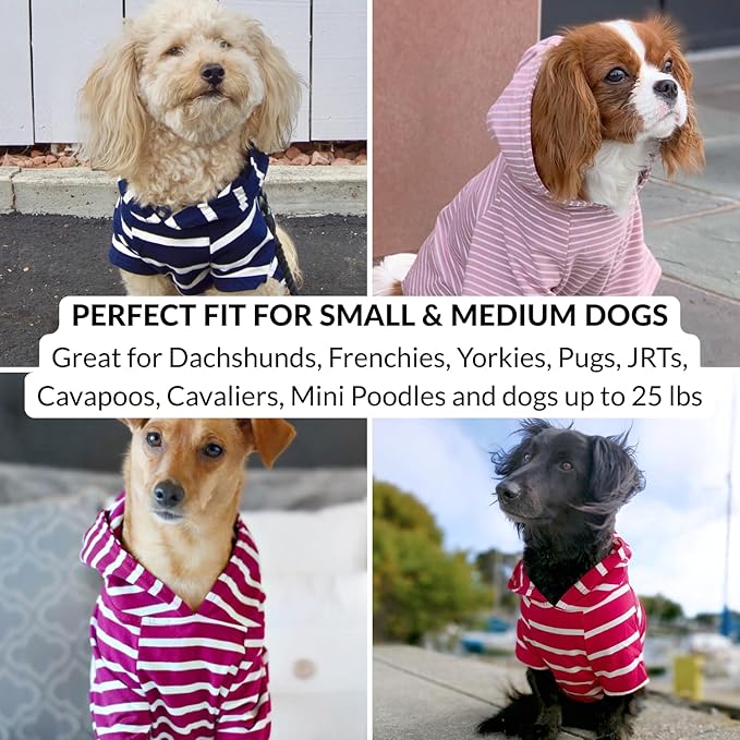 DJANGO Dog Hoodie – Warm, Lightweight, Soft & Stretchy Dog Sweater with Hood, Harness Hole & Elastic Waistband – Cozy Sweatshirt for Small Dogs up to 25 lbs, Dachshunds & Puppies – Black, Medium