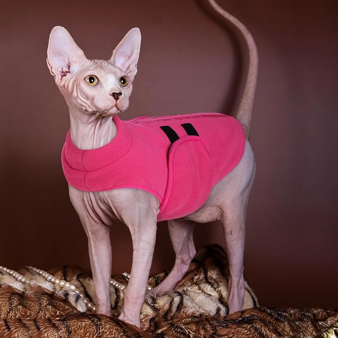 Queenmore Soft Fleece Dog Jacket, Warm Winter Dog Clothes with Leash Hole, Dachshund Sweaters for Small Dogs Cats Boy or Girl (Pink, S)