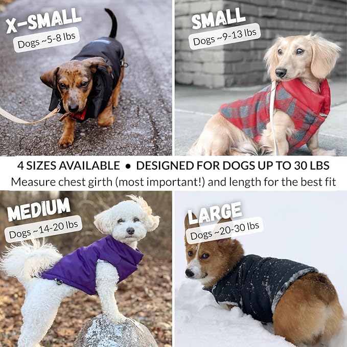 DJANGO Reversible Puffer Dog Coat – Warm Winter Dog Jacket & Water-Repellent Insulated Dog Coat w/Harness Hole, Windproof, Adjustable Fit for Small & Medium Dogs, Dachshunds – Violet Purple, Medium