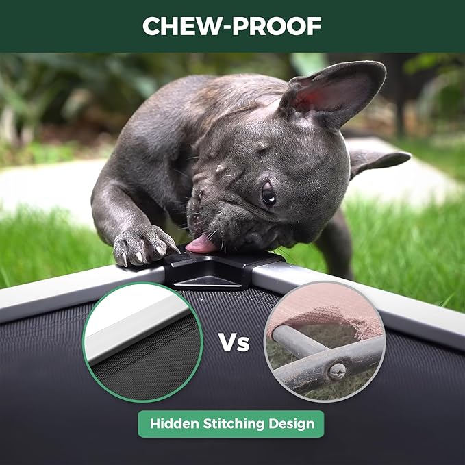 FXW TitanNest Chew-Proof Elevated Dog Bed, Raised Cot for Indoor/Outdoor/Camping Use, Durable & Waterproof Cooling Pet Bed for Extra-Small Dogs, 29.0" L x 18.0" W x 4.5" H, Black