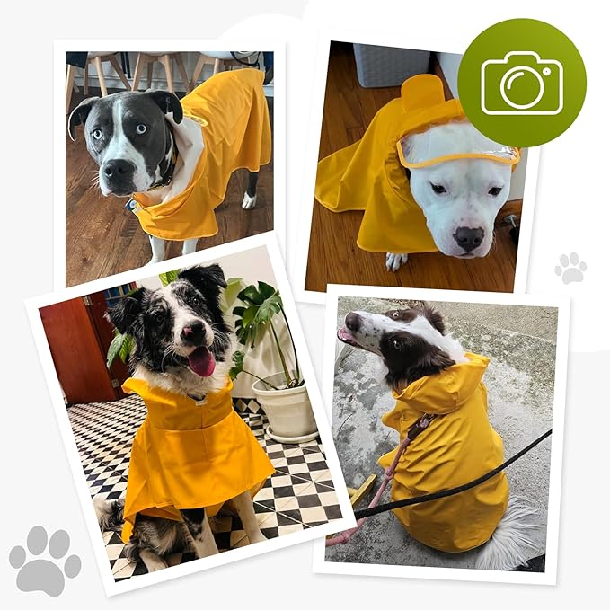 Dog Raincoat, Waterproof Windproof Dog Rain Jacket with Hood, Rain Coat with Leash Hole, Adjustable Raincoat Poncho for Small Medium Large Dogs Outdoor (Neon Yellow, Small)