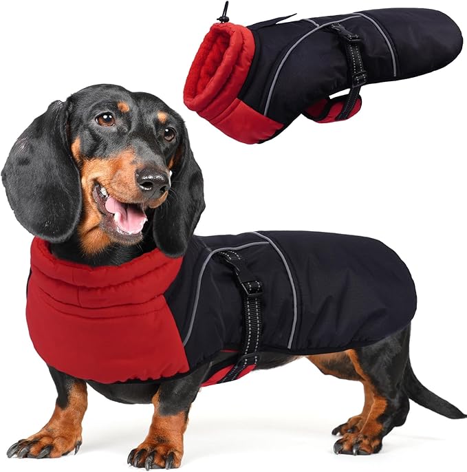 DORA BRIDAL Dachshund Coat, Fleece Lined Dog Winter Coat, Warm Dog Coats with Reflective Strips, Adjustable Waterproof Pet Jacket Clothes, XS