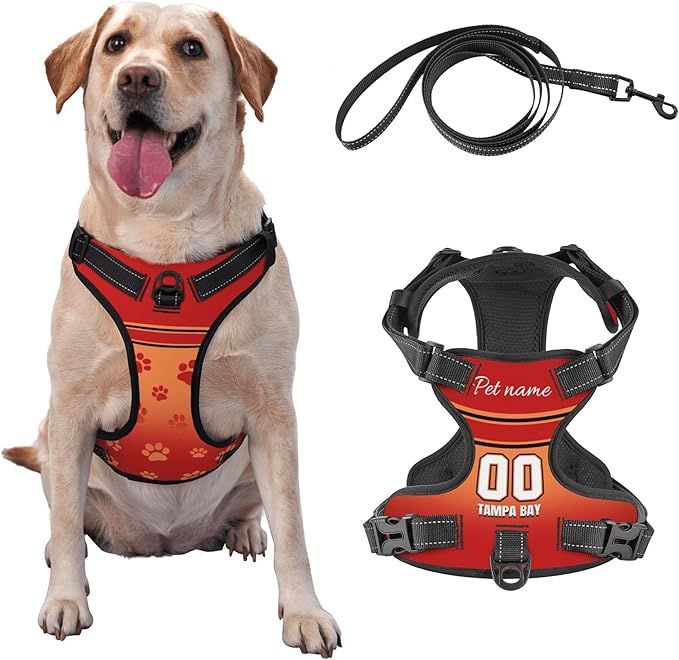 Custom Tampa Bay Dog Harness with Reflective Stripes Personalized Name and Number Dog Vest Harness with Pet Traction Rope for Small Medium Large Dog