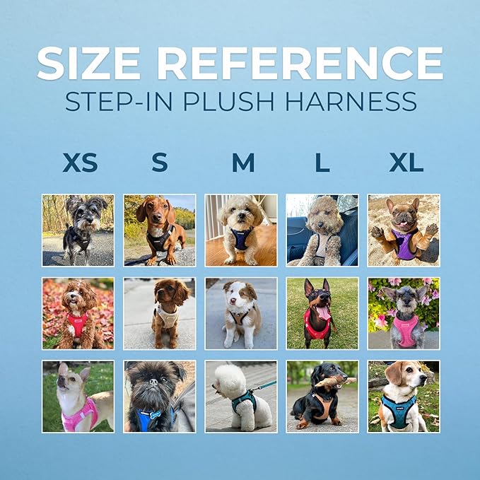 Best Pet Supplies - All Weather Mesh / Plush, Reflective, No Pull Harness for Small, Medium Dogs, Cats - Secure with Hook & Loop Fastener, Buckle, Double D-Rings - Turquoise Plush, S