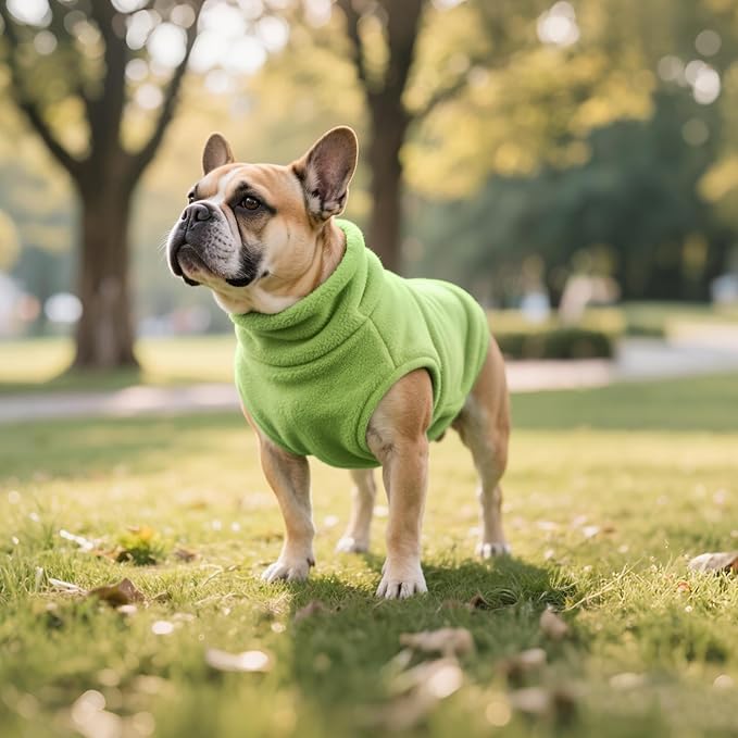 Idepet Dog Fleece Vest Sweater Zip Up Warm Pullover Dogs Jacket with D-Ring Leash Winter Cold Weater Coat Pet Sweatershirt Clothes Hoodie for Small Medium Dogs Boy Girl(Green,L)