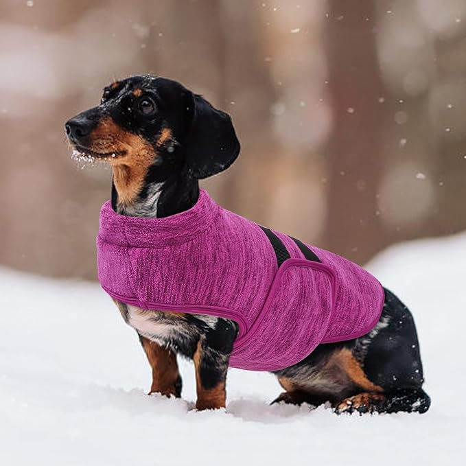 Queenmore Medium Dog Sweaters, Soft Fleece Vest Pullover Dog Jacket with Leash Hole, Warm Winter Dogs Clothes Cold Weather Doggy Dachshund Sweater for Medium Dogs Cats Boy or Girl (Cationic Berry,M)