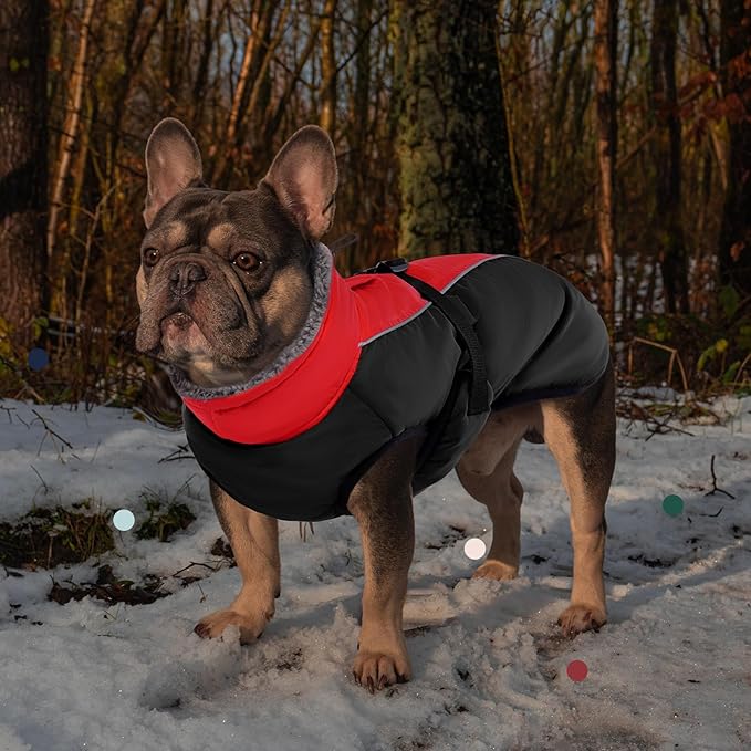 IECOii Extra Warm Reflective Adjustable Dog Jacket - Winter Coat with Buckle Fleece Turtleneck for Small to Extra Large Dogs