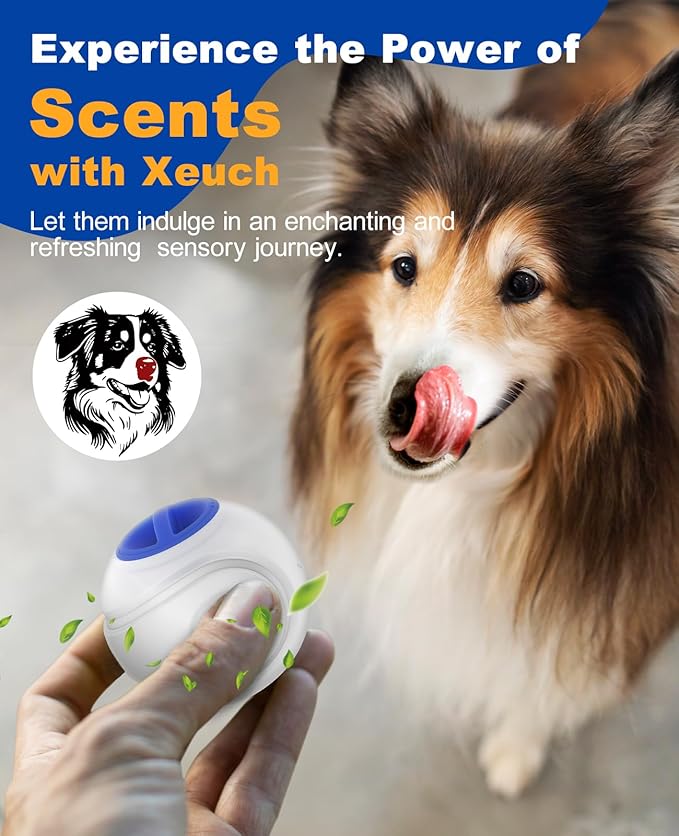 LED Dog Ball Rechargeable, Light Up Dog Ball Toys, Bounce-Activated Durable Fetch Ball, Natural Rubber, Unique Scent, 2.5 inches, for Small & Medium Dogs (Blue)