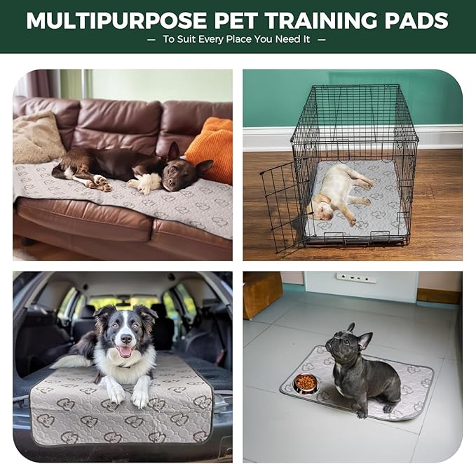 FXW Washable Pee Pads for Dogs, Puppy Pads with Super Absorbent, Specifically Designed for Potty Training, 35" Square, Khaki, 1 Pack