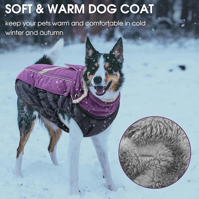 Queenmore Warm Fleece Dog Jacket - Cold Weather Waterproof Dog Snowsuit, Reflective Turtleneck, Purple, XL