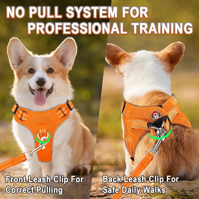 Dog Harness Step in Dog Vest Harness, Reflective Adjustable Puppy No Pull Harness Breathable Soft for Small and Medium Dogs Cats, Orange, XS